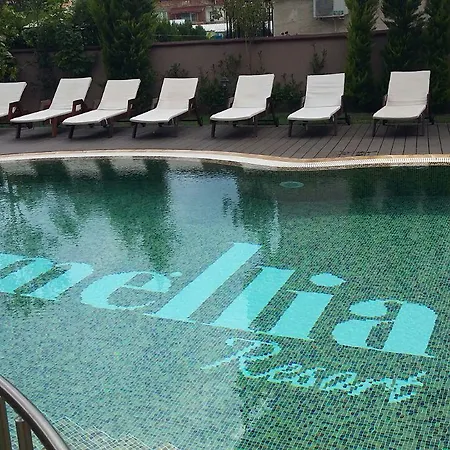 Lejlighed Mellia Park *